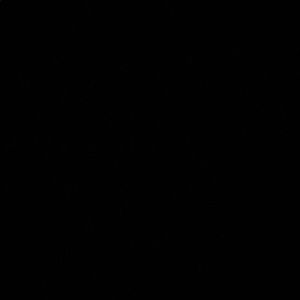 Meet your Posher, Zaire